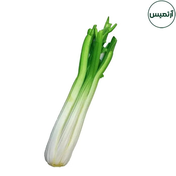 کرفس مصنوعی دکوری