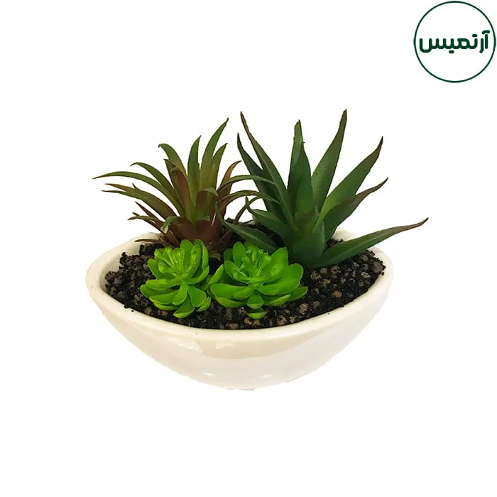 گلدان کاکتوس مصنوعی قایقی