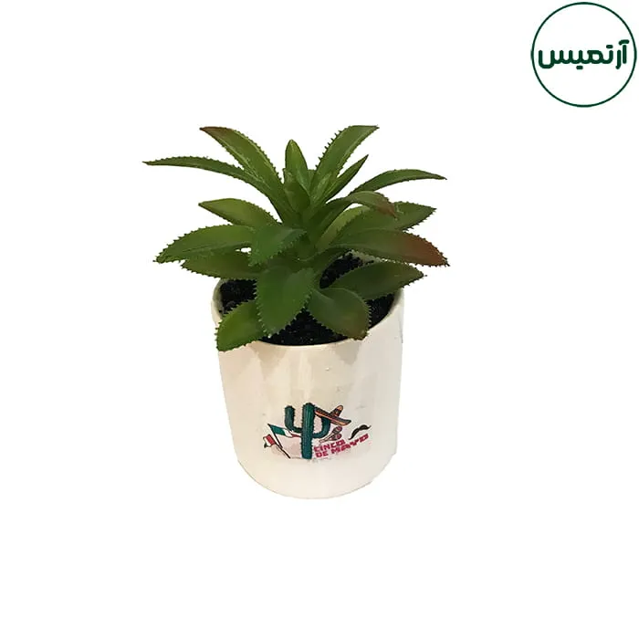 کاکتوس مصنوعی مدل گلدان لیوانی