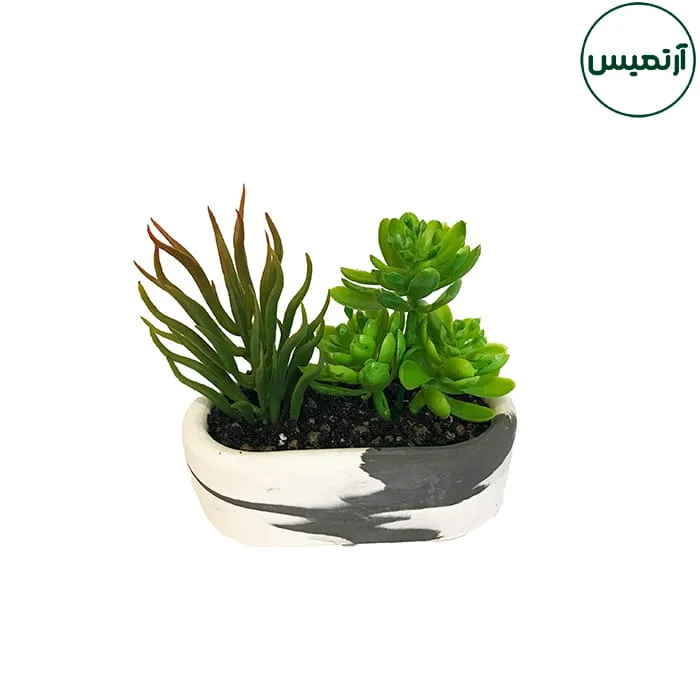 گلدان کاکتوس مصنوعی بیضی