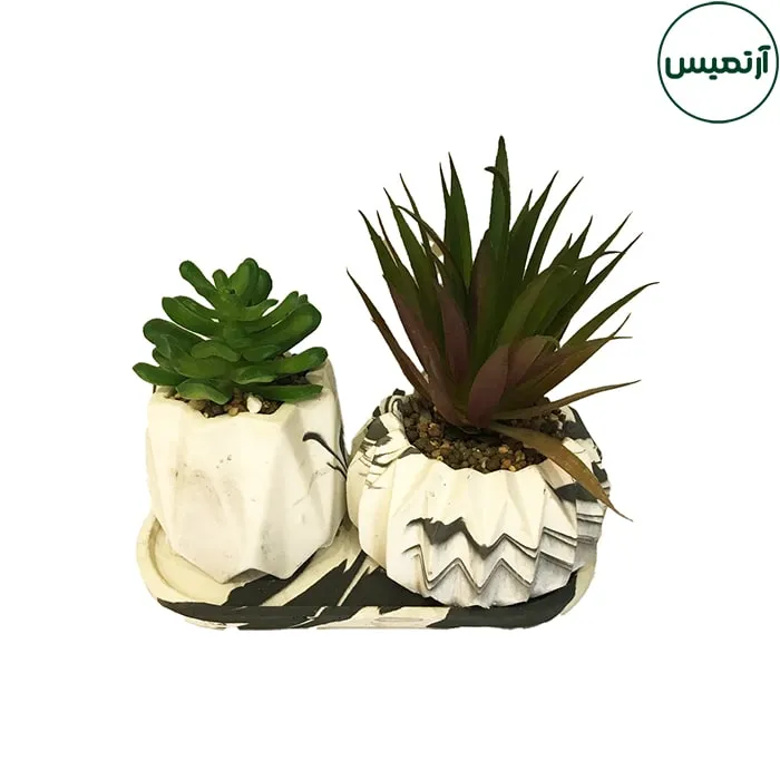 گلدان کاکتوس مصنوعی دو تایی 2 گلدان کاکتوس مصنوعی دو تایی
