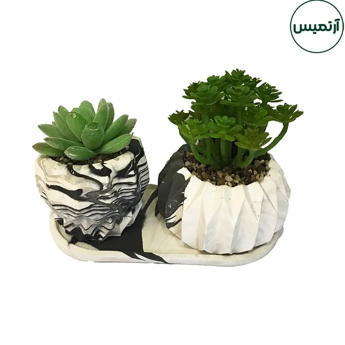 گلدان کاکتوس مصنوعی دو تایی