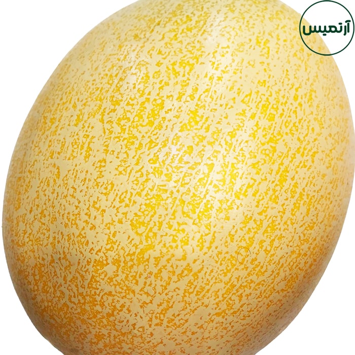 خربزه مصنوعی 2 خربزه مصنوعی - تصویر 2