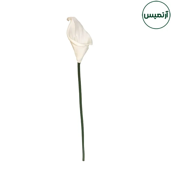 گل شیپوری مصنوعی Arum