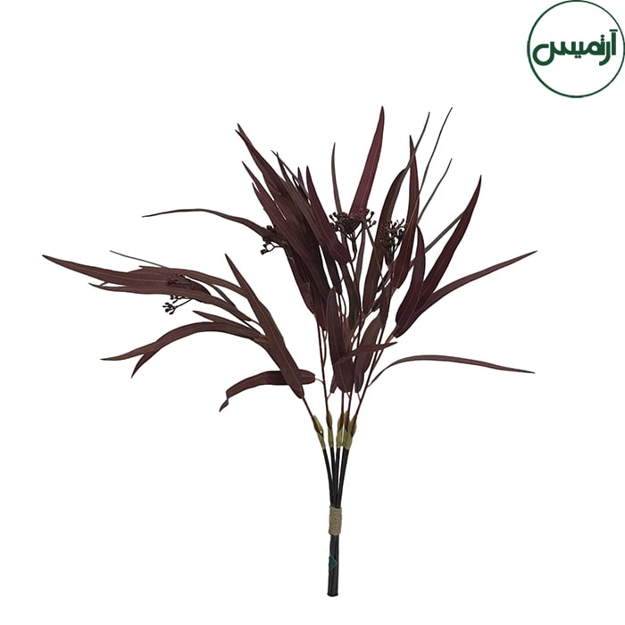 اکالیپتوس کشیده زرشکیEucalyptus 1 اکالیپتوس کشیده زرشکیEucalyptus