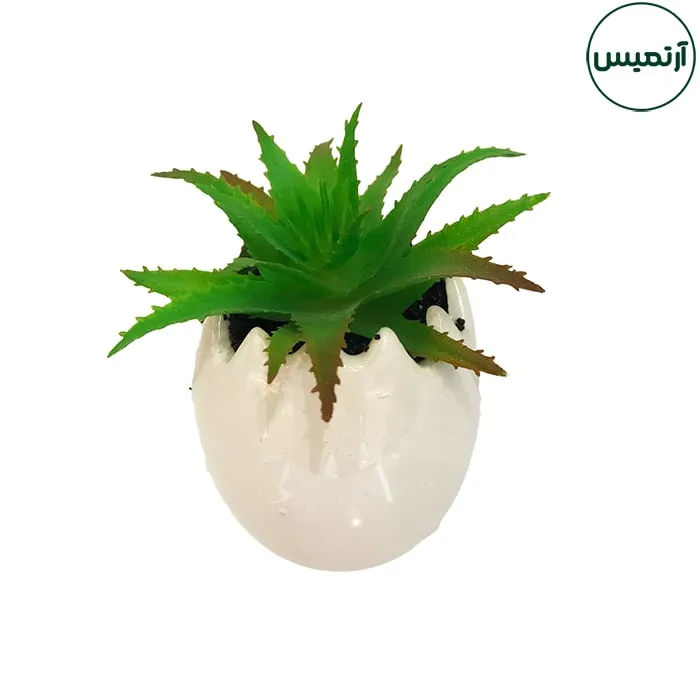 گلدان کاکتوس مصنوعی مدل تخم مرغی 2 6 گلدان کاکتوس مصنوعی مدل تخم مرغی2