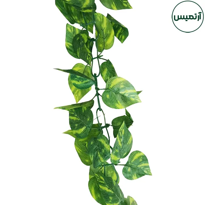 ریسه برگ مصنوعی پیتوس