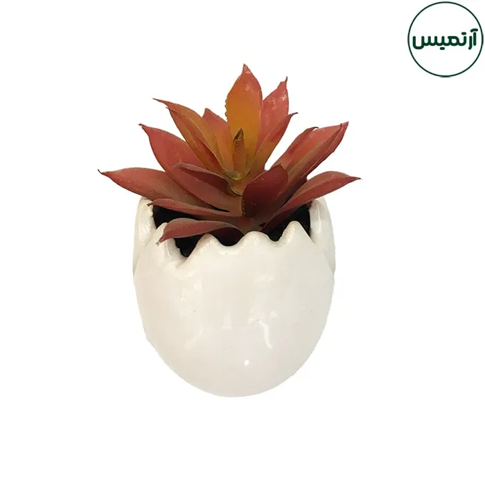 گلدان کاکتوس مصنوعی مدل تخم مرغی 2 5 گلدان کاکتوس مصنوعی مدل تخم مرغی2