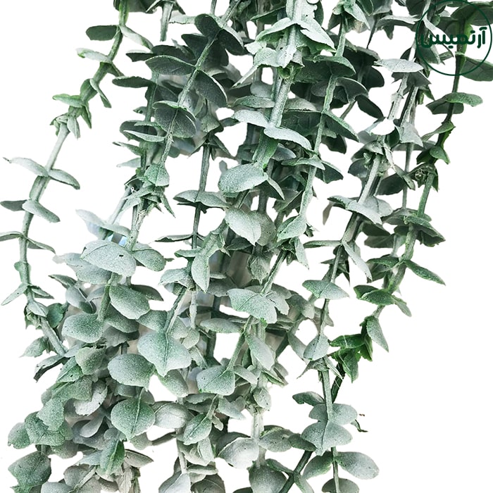 آویزبرگ شمشاد سبزپودری مات 2 آویزبرگ شمشاد سبزپودری مات - تصویر 2