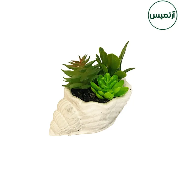 گلدان کاکتوس مصنوعی حلزونی