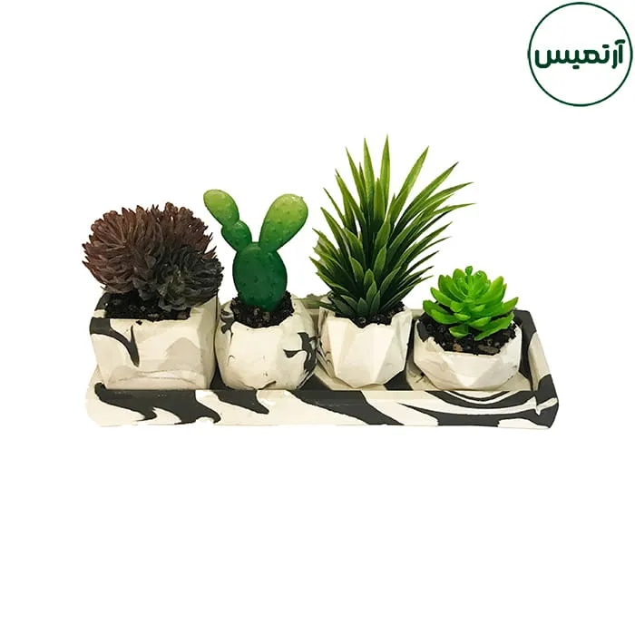 گلدان کاکتوس مصنوعی 4تایی