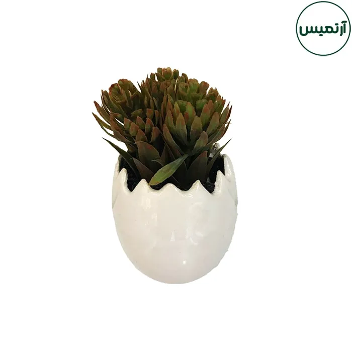 گلدان کاکتوس مصنوعی مدل تخم مرغی 2 4 گلدان کاکتوس مصنوعی مدل تخم مرغی2