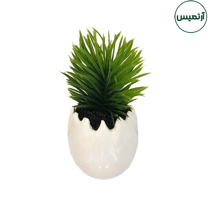 گلدان کاکتوس مصنوعی مدل تخم مرغی1 8 گلدان کاکتوس مصنوعی مدل تخم مرغی2