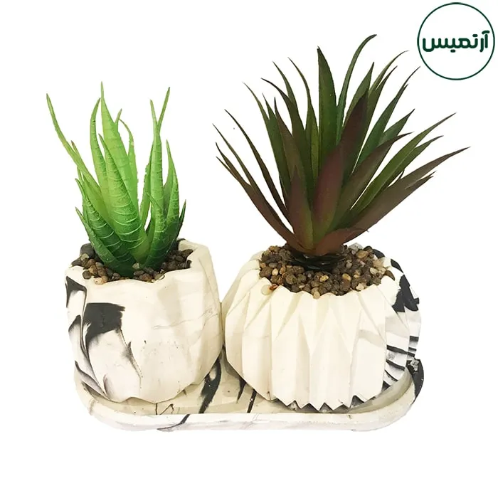 گلدان کاکتوس مصنوعی دو تایی 3 گلدان کاکتوس مصنوعی دو تایی