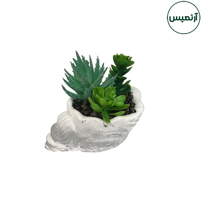 گلدان کاکتوس مصنوعی حلزونی
