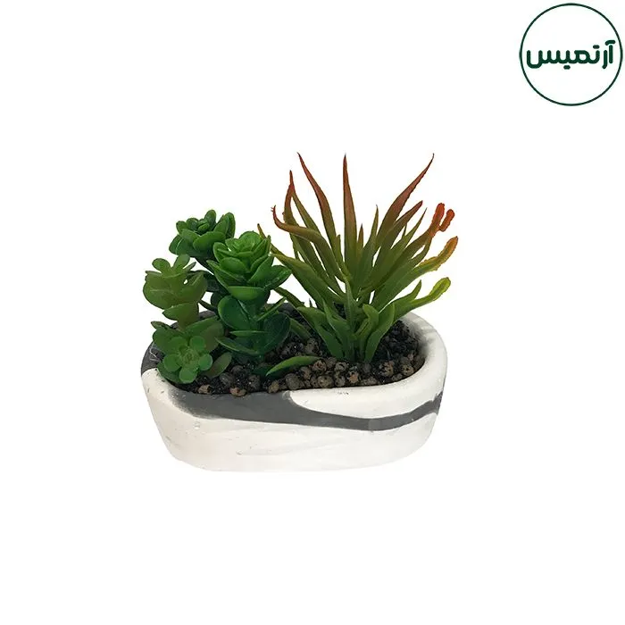 گلدان کاکتوس مصنوعی بیضی