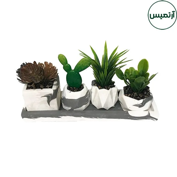 گلدان کاکتوس مصنوعی 4تایی