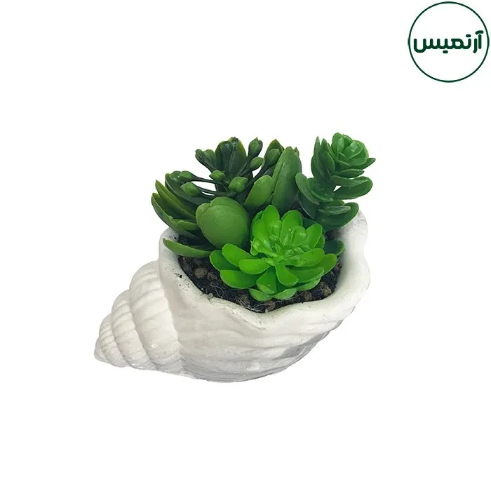 گلدان کاکتوس مصنوعی حلزونی