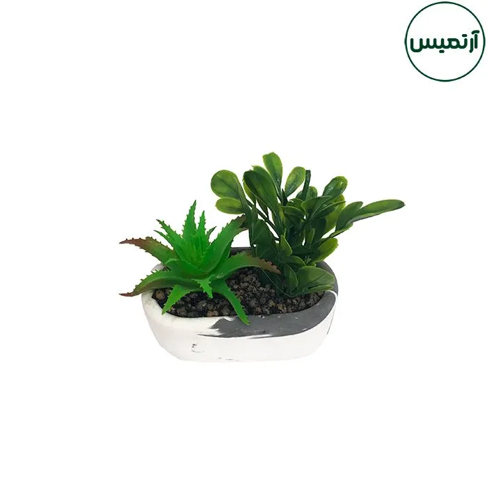 گلدان کاکتوس مصنوعی بیضی