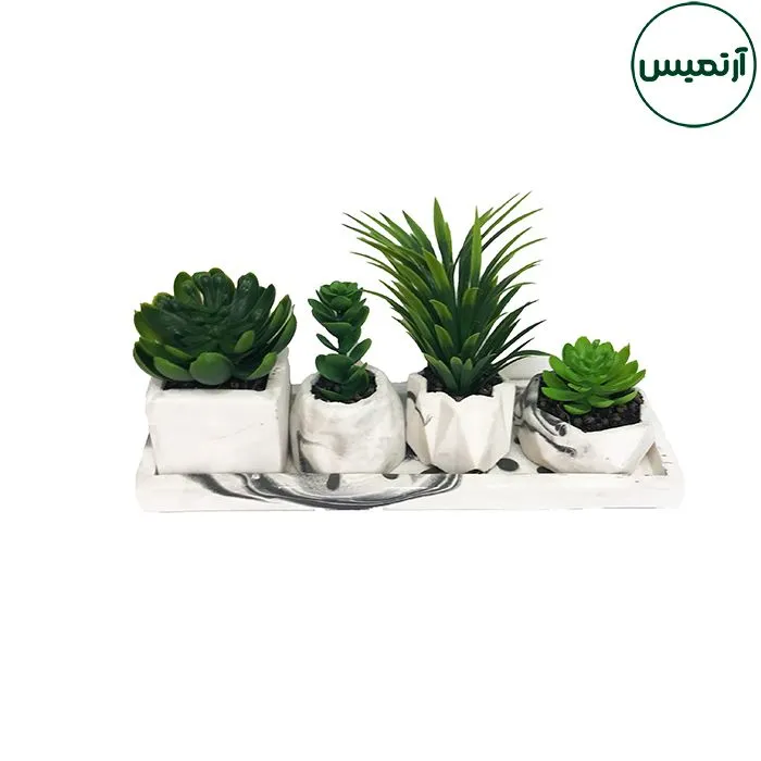گلدان کاکتوس مصنوعی 4تایی