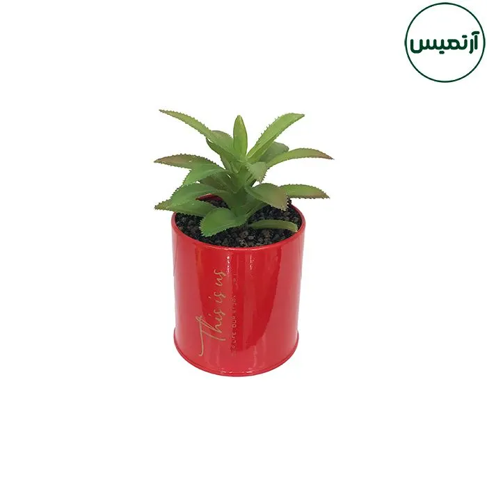 گلدان کاکتوس مصنوعی فلزی کوچک