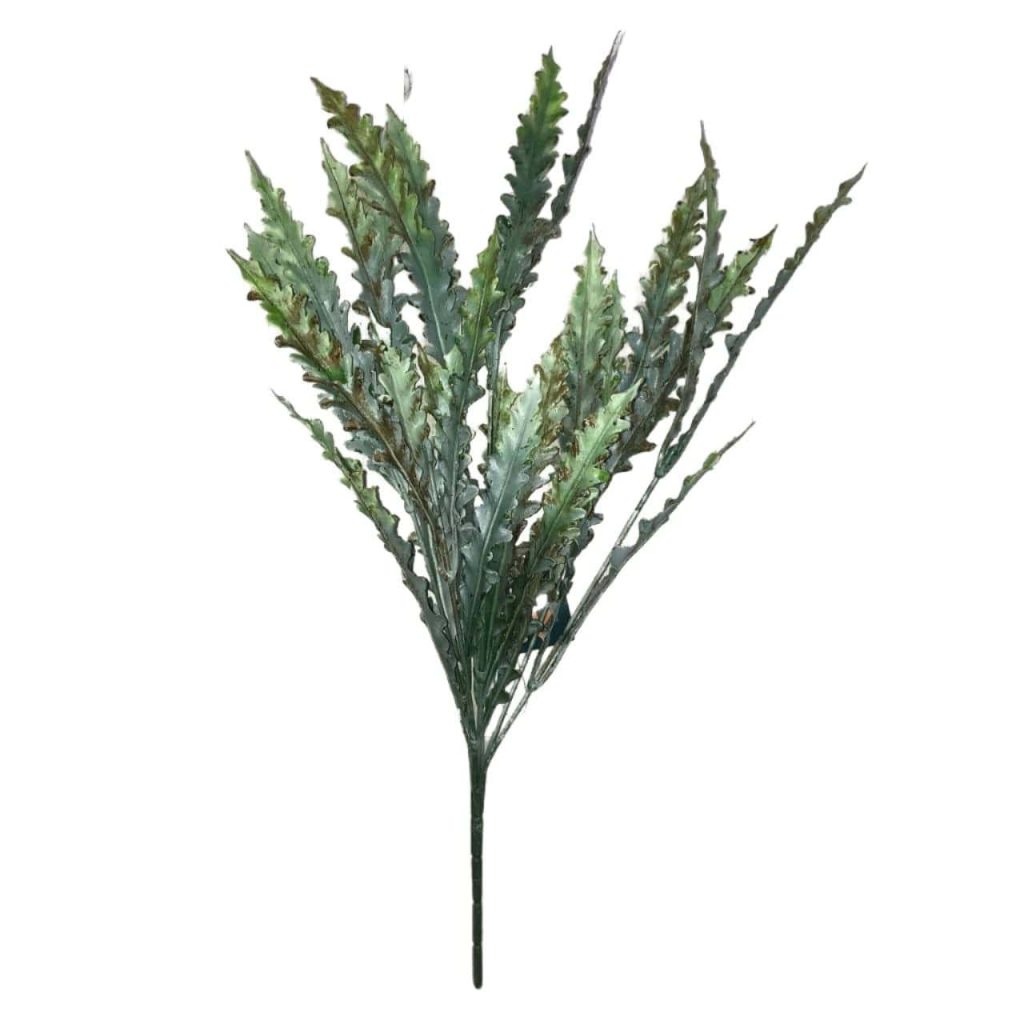 بوته برگ دریایی