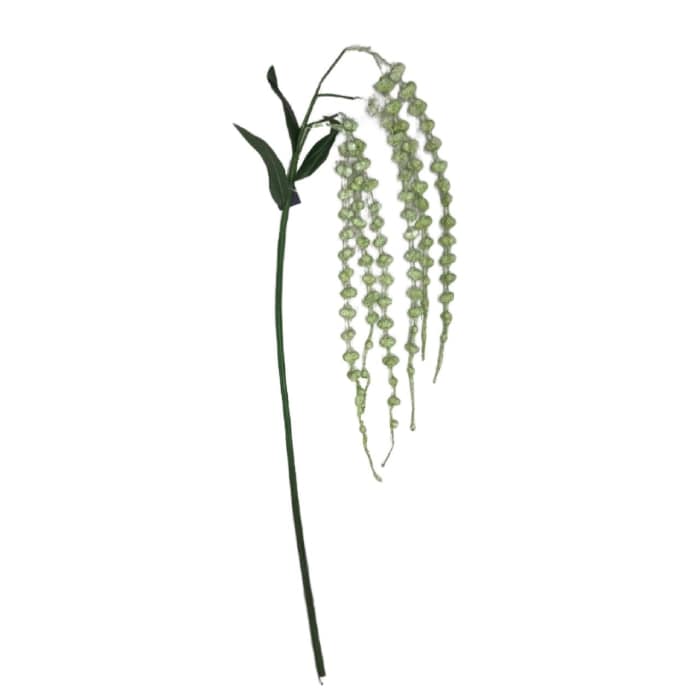 آویزگل مرجانی سفید