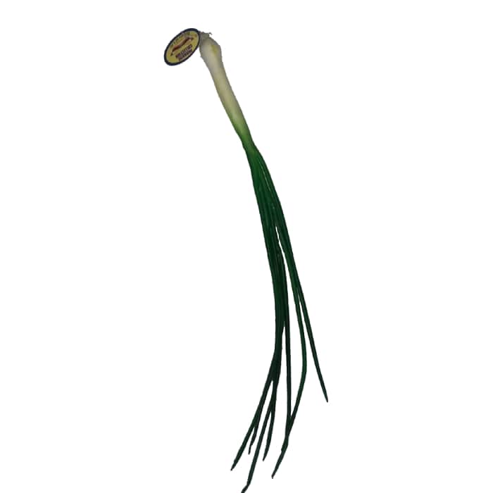 پیازچه مصنوعی 1 پیازچه مصنوعی