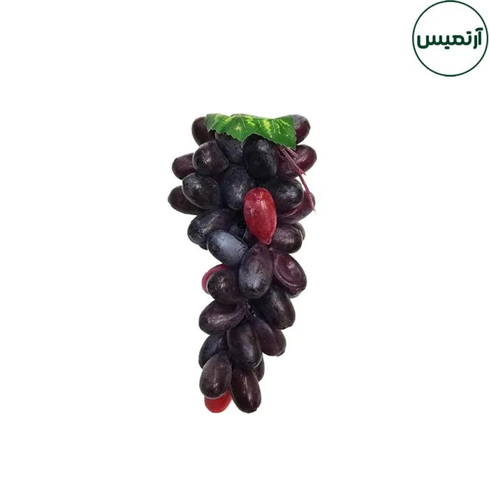 انگورمصنوعی کوچک سایز1 2 انگورمصنوعی کوچک سایز1 مشکی قرمز