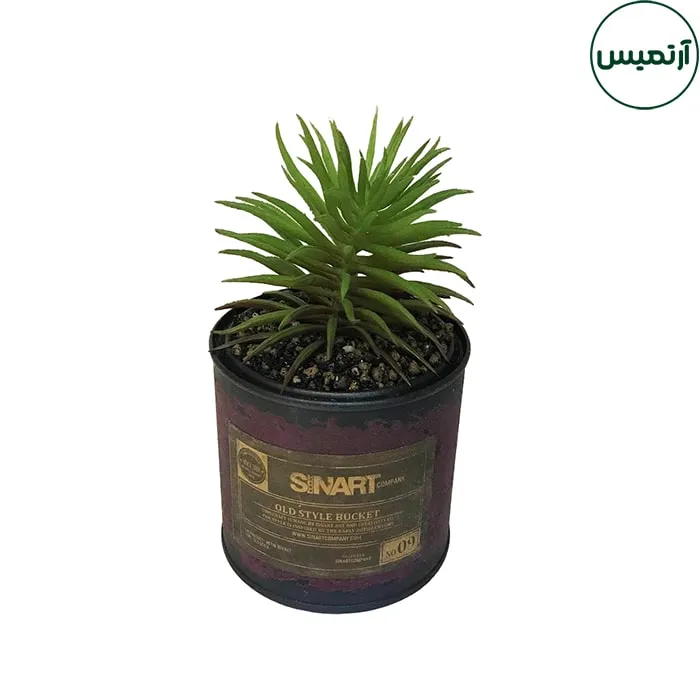 گلدان کاکتوس مصنوعی فلزی متوسط 2 گلدان کاکتوس مصنوعی فلزی متوسط