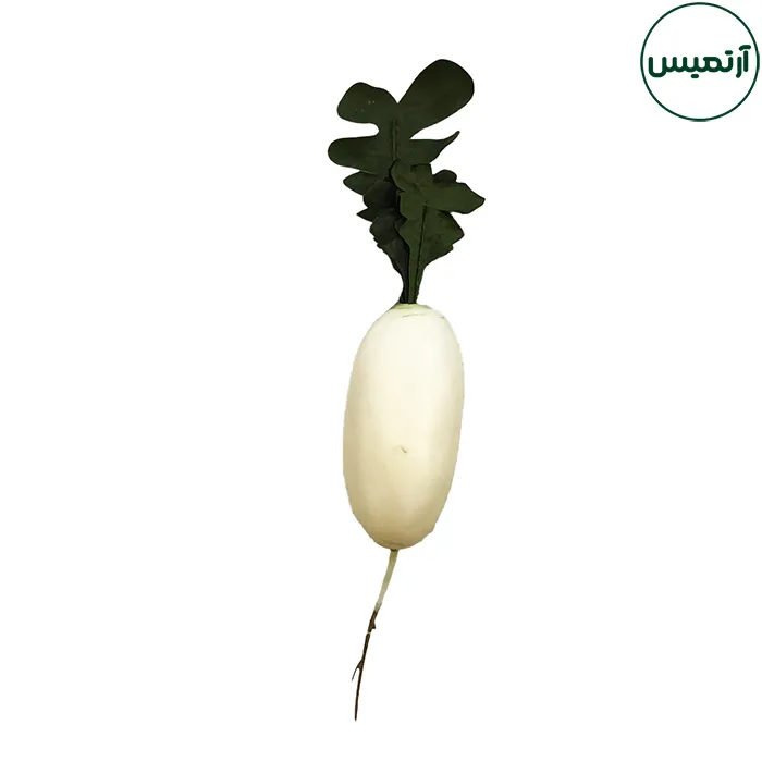 ترب سفید مصنوعی