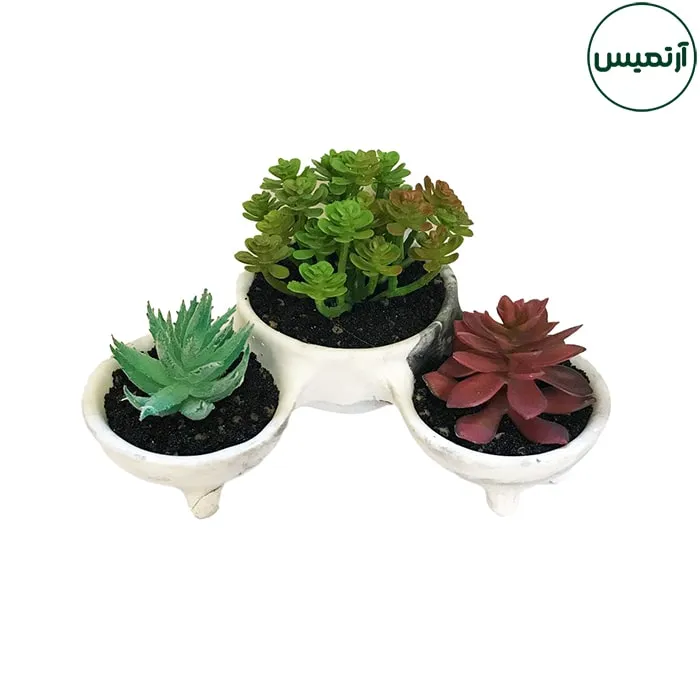 گلدان کاکتوس مصنوعی 3تایی پایه دار