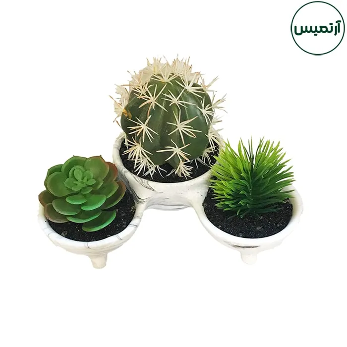 گلدان کاکتوس مصنوعی 3تایی پایه دار 2 گلدان کاکتوس مصنوعی 3تایی پایه دار