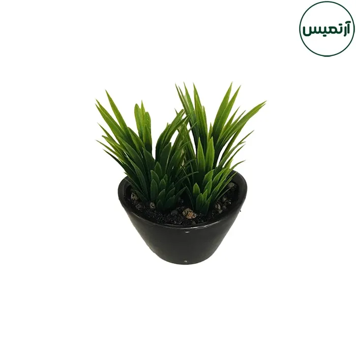 گلدان کاکتوس مصنوعی مدل هلالی مشکی