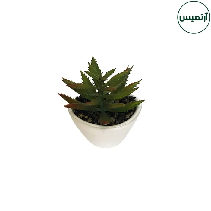 گلدان کاکتوس مصنوعی مدل هلالی سفید