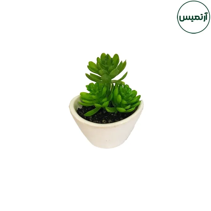 گلدان کاکتوس مصنوعی مدل هلالی سفید 6 گلدان کاکتوس مصنوعی مدل هلالی سفید