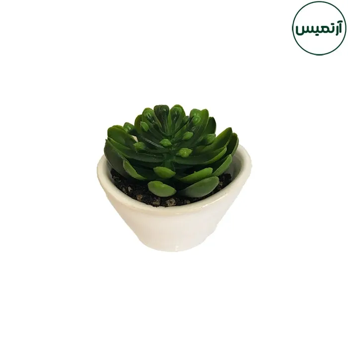 گلدان کاکتوس مصنوعی مدل هلالی سفید 5 گلدان کاکتوس مصنوعی مدل هلالی سفید
