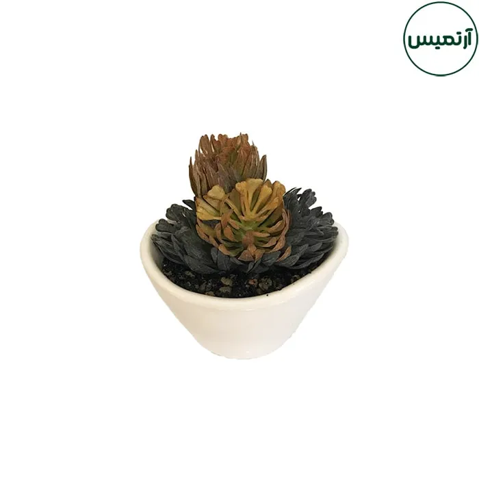 گلدان کاکتوس مصنوعی مدل هلالی سفید 4 گلدان کاکتوس مصنوعی مدل هلالی سفید