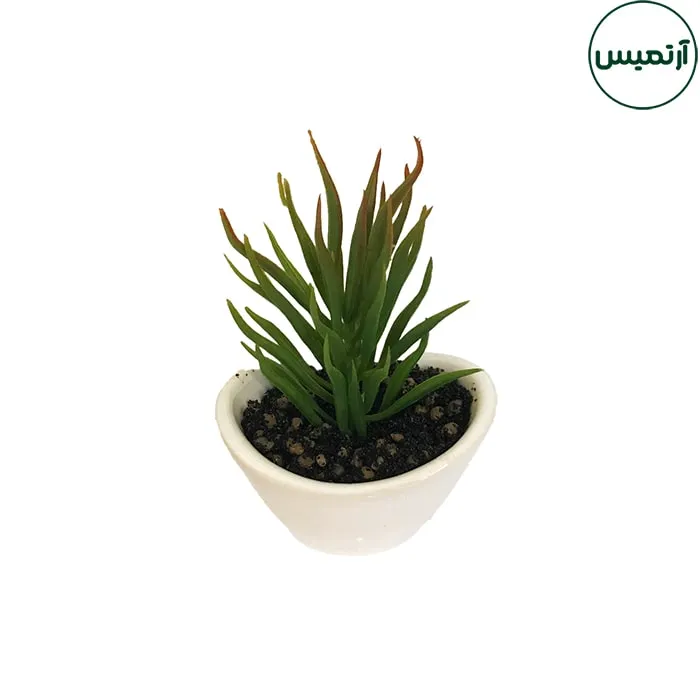 گلدان کاکتوس مصنوعی مدل هلالی سفید 3 گلدان کاکتوس مصنوعی مدل هلالی سفید