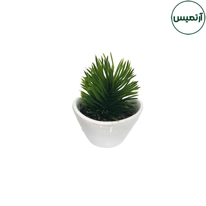 گلدان کاکتوس مصنوعی مدل هلالی سفید