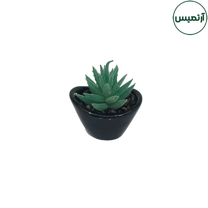 گلدان کاکتوس مصنوعی مدل هلالی مشکی