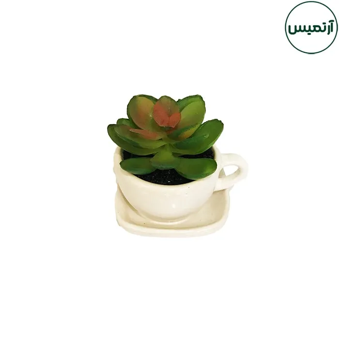 گلدان کاکتوس مصنوعی مدل فنجان سفید