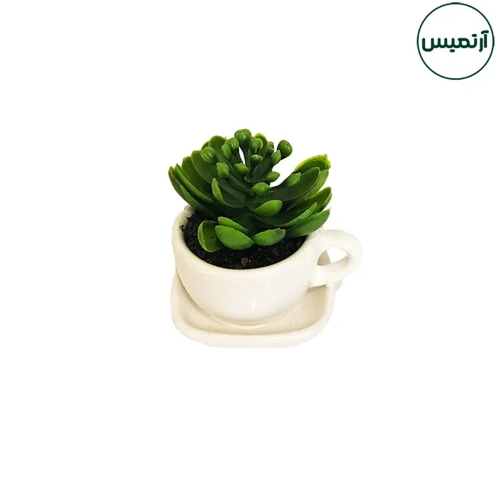 گلدان کاکتوس مصنوعی مدل فنجان سفید 5 گلدان کاکتوس مصنوعی مدل فنجان سفید