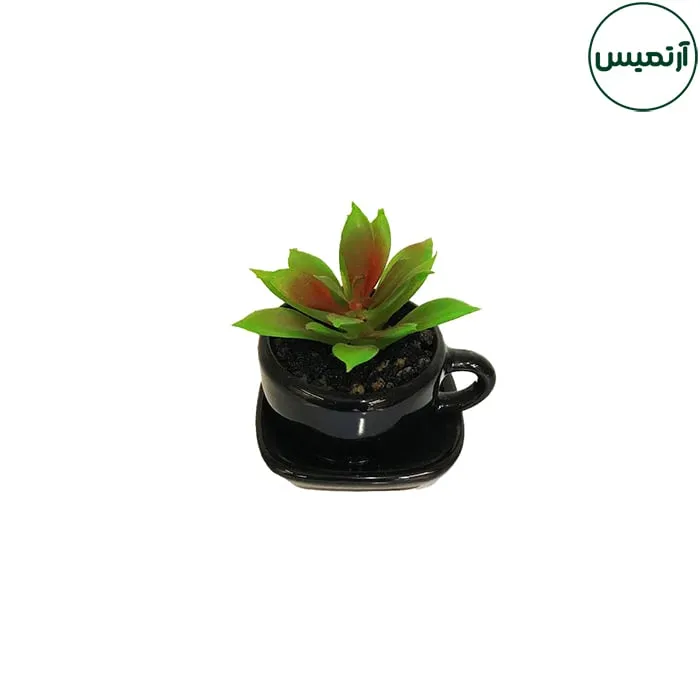 گلدان کاکتوس مصنوعی مدل فنجان مشکی 5 گلدان کاکتوس مصنوعی مدل فنجان مشکی
