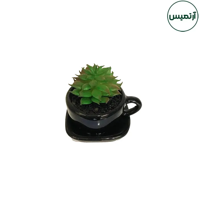 گلدان کاکتوس مصنوعی مدل فنجان مشکی 2 گلدان کاکتوس مصنوعی مدل فنجان مشکی