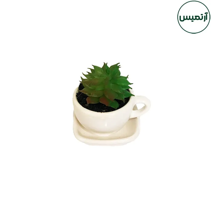 گلدان کاکتوس مصنوعی مدل فنجان سفید 2 گلدان کاکتوس مصنوعی مدل فنجان سفید