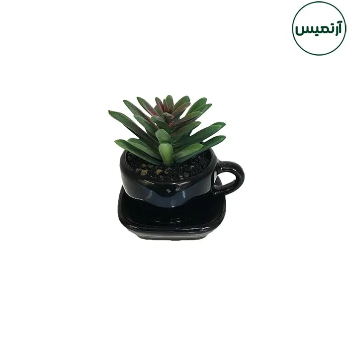 گلدان کاکتوس مصنوعی مدل فنجان مشکی