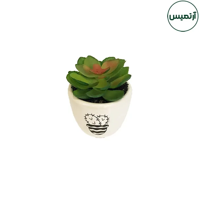 گلدان کاکتوس مصنوعی مدل استیکردار