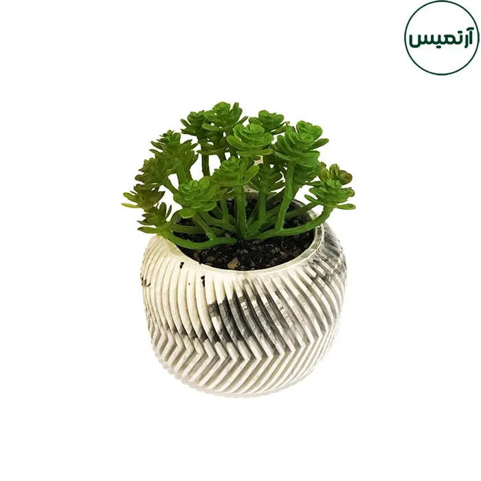 گلدان کاکتوس مصنوعی بزرگ