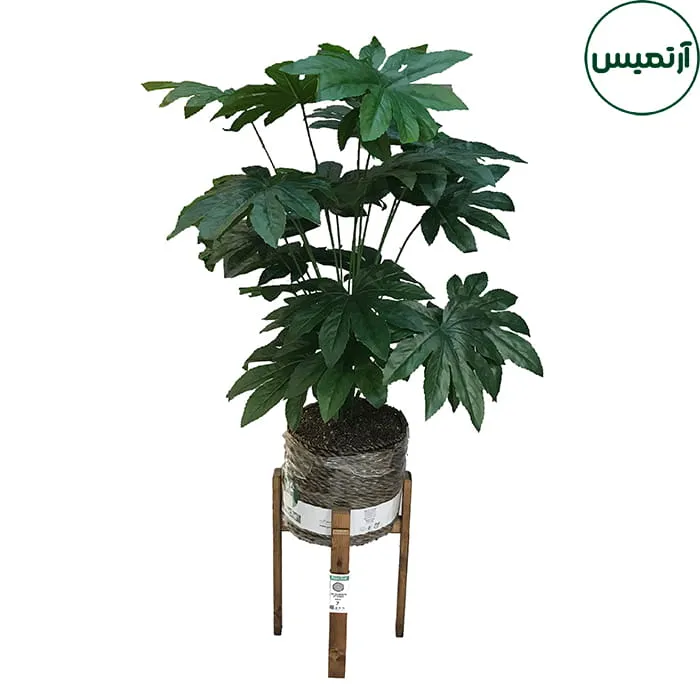 درختچه مصنوعی برگ آرالیاژاپنی